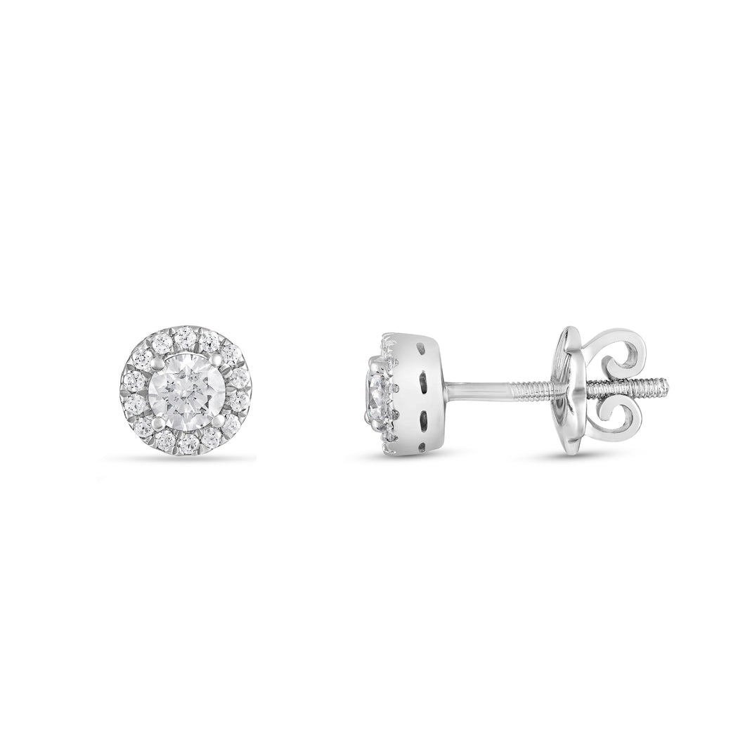 The Evergreen Round Halo - Studs